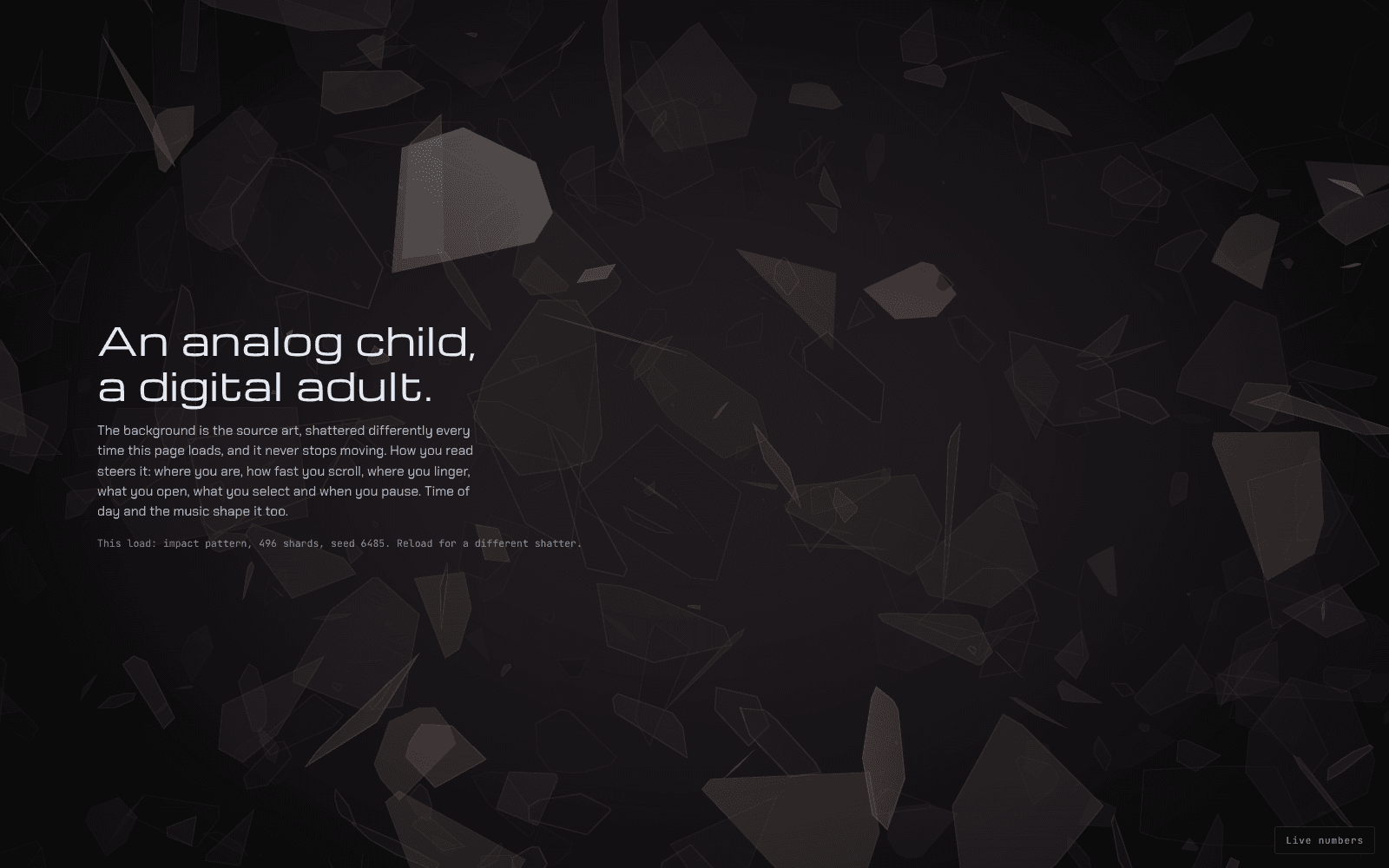 doooomgaze: an impact pattern of 496 shards across the whole viewport behind placeholder words, An analog child, a digital adult.